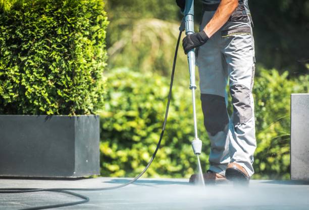 Best Window and Screen Pressure Cleaning in Port Dickinson, NY