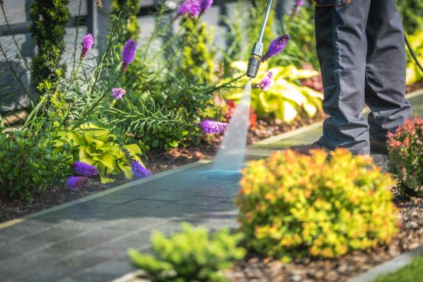 Trusted Port Dickinson, NY Pressure Washing Services Experts